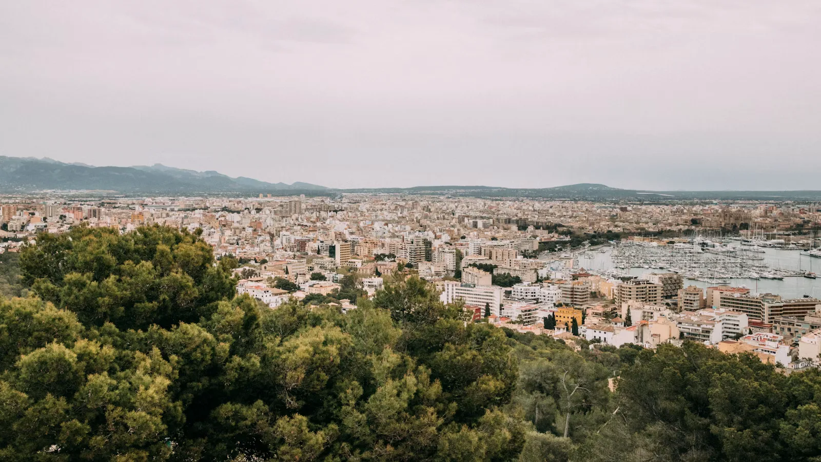 Vista urbana de Palma de Mallorca